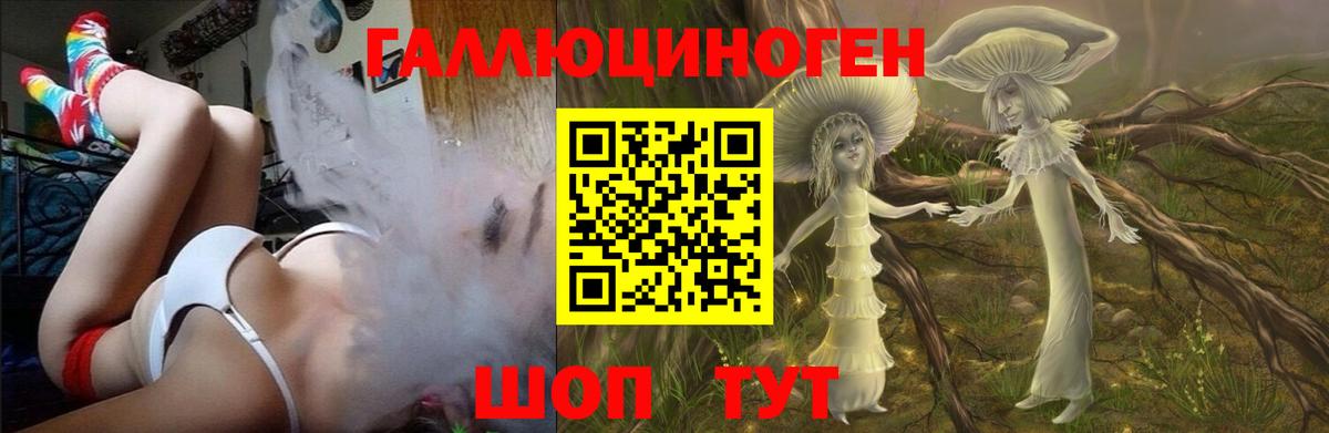 Псилоцибиновые грибы мицелий Азов
